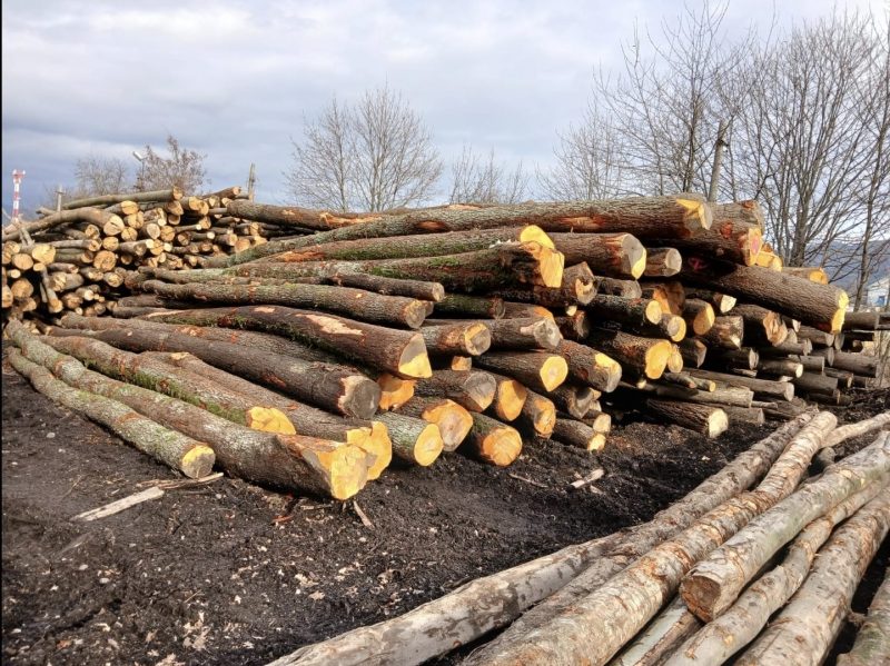 ROUND ALDER WOOD WITH BARK 